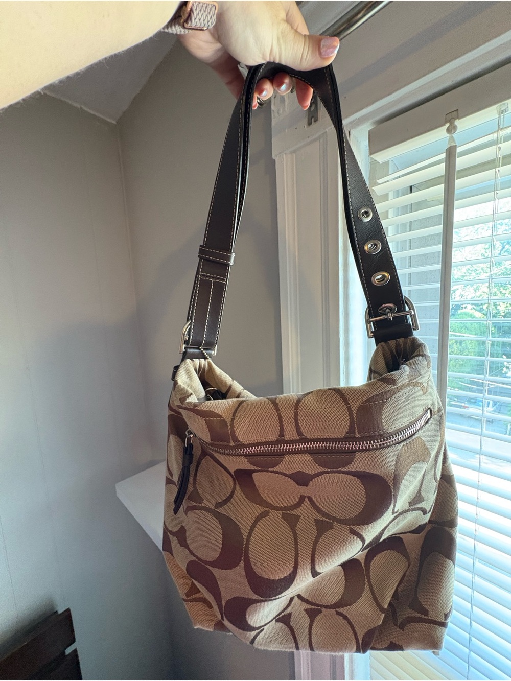 Coach Carly Hobo Bag